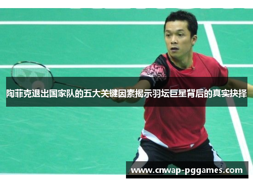 陶菲克退出国家队的五大关键因素揭示羽坛巨星背后的真实抉择