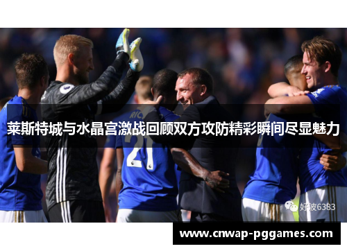 莱斯特城与水晶宫激战回顾双方攻防精彩瞬间尽显魅力