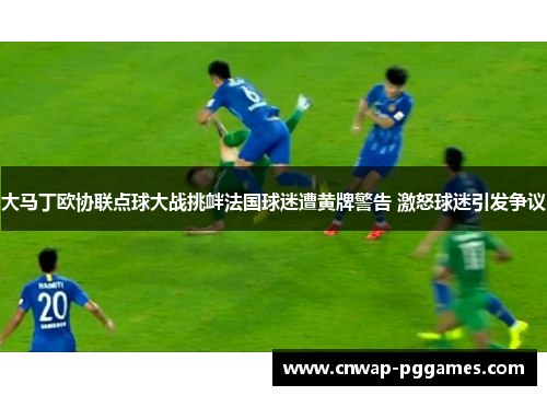 大马丁欧协联点球大战挑衅法国球迷遭黄牌警告 激怒球迷引发争议